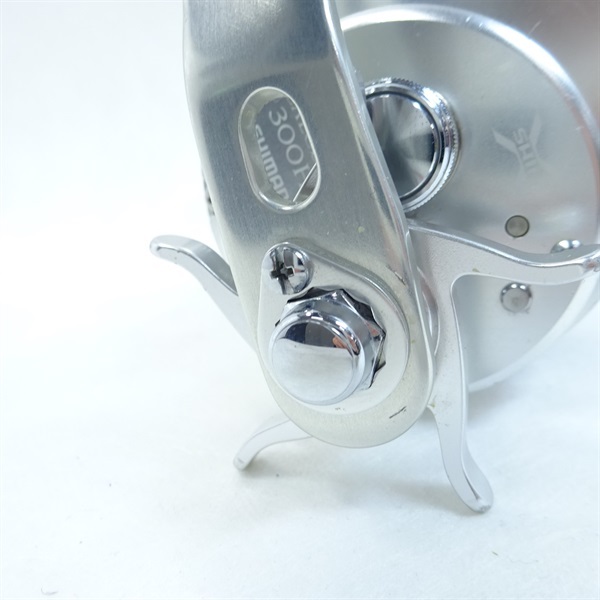 １３オシアカルカッタ３００ＨＧ